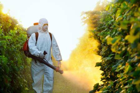 Od zdrave hrane so ostali le še pesticidi